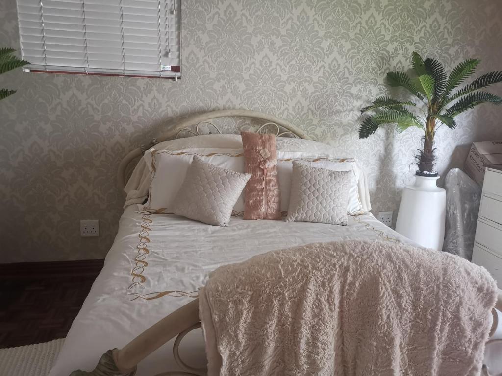 Falklands Guest House photo 1