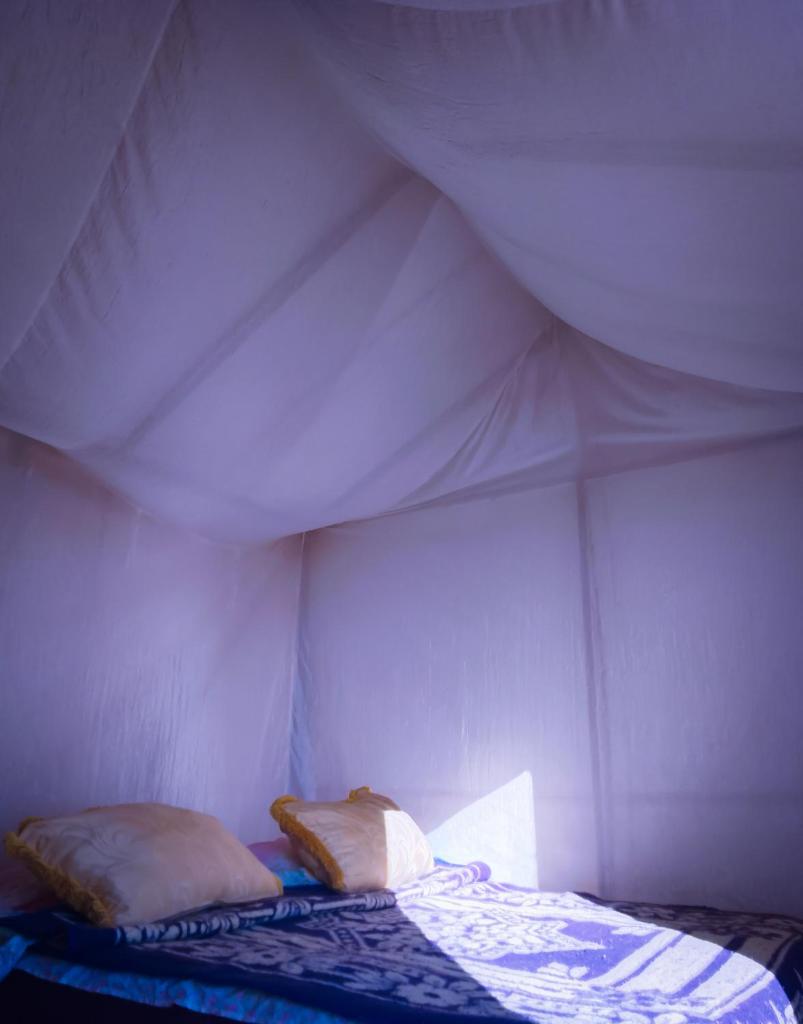 Nomadic Desert Lounge photo 2
