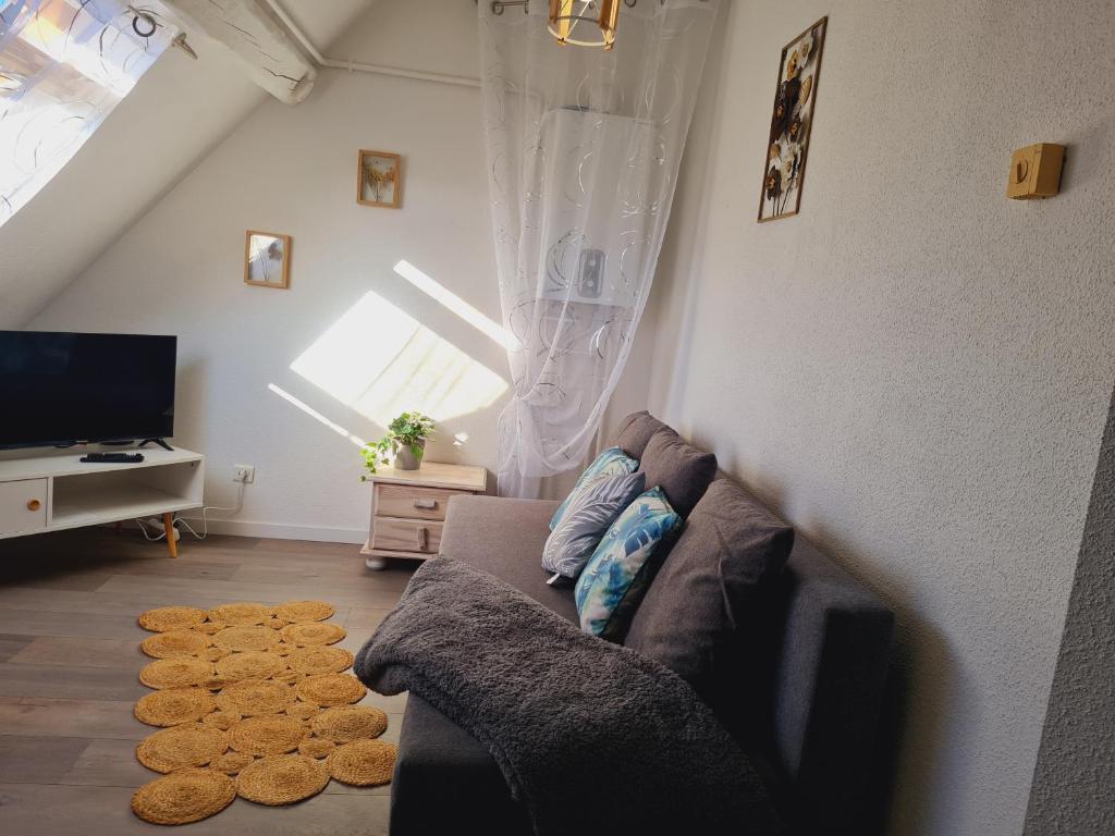 studio cosy photo 1