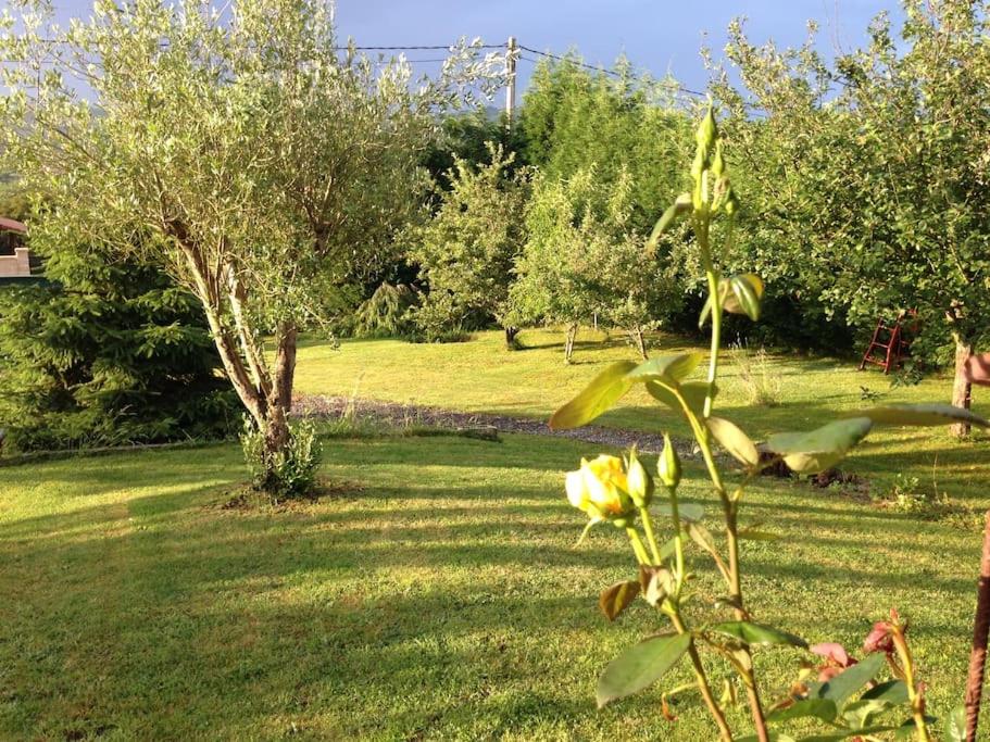 Villa Siero 2023 photo 3