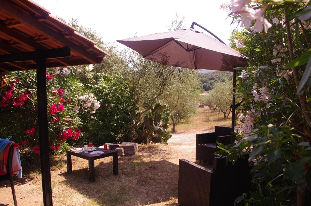 Casa Erbaggio photo 4