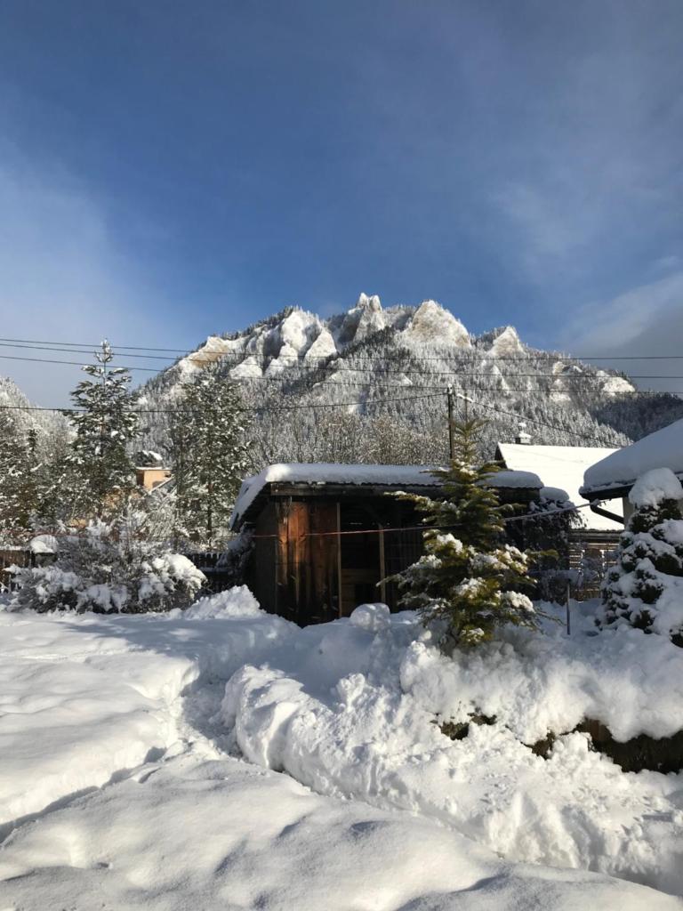 Apartament i pokoje u Piotra photo 1
