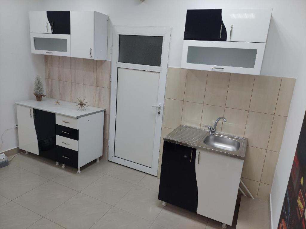 Apartman Aleksić u samom centru grada photo 4