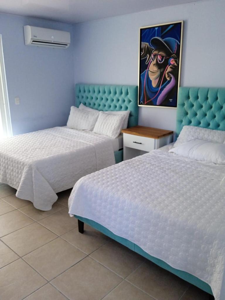 Hotel Mono Azul photo 2