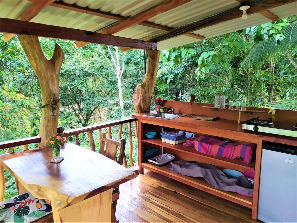 Terra NaturaMa - off grid living in the jungle photo 2