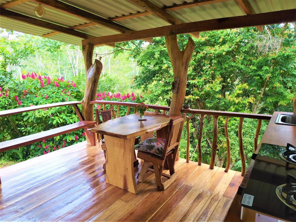Terra NaturaMa - off grid living in the jungle photo 3