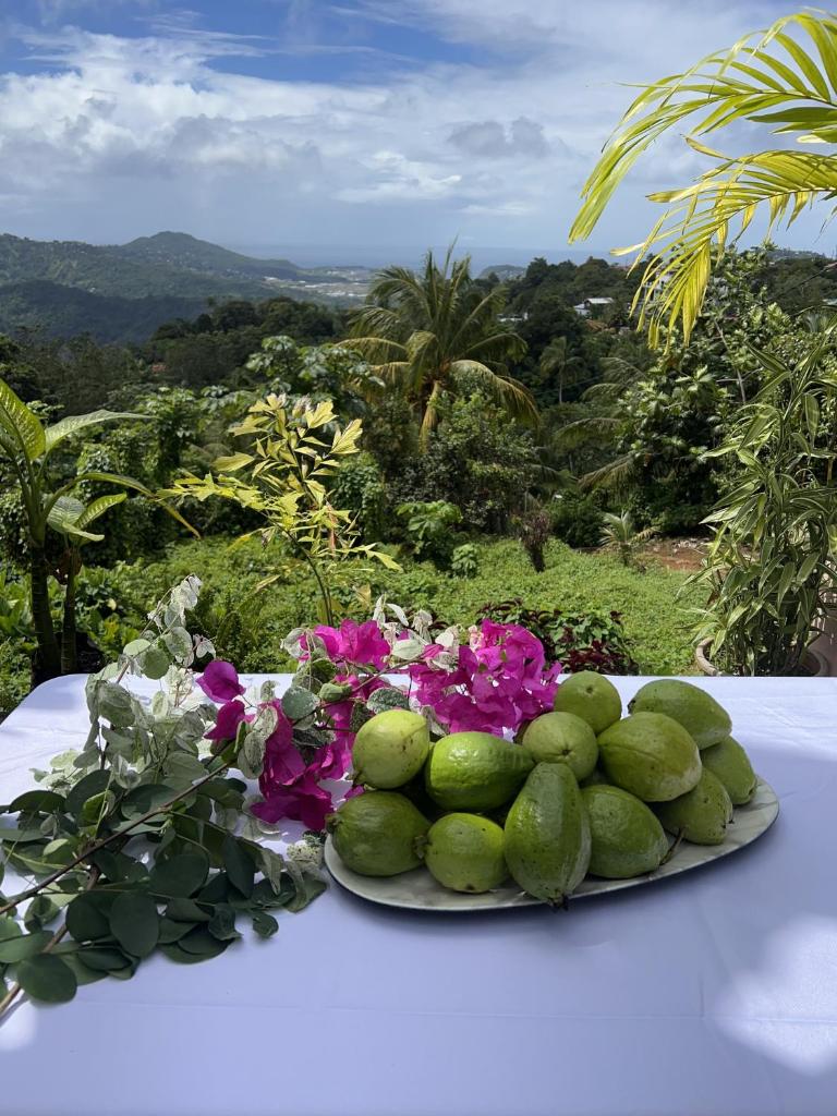 Blu Vista Cottages photo 4
