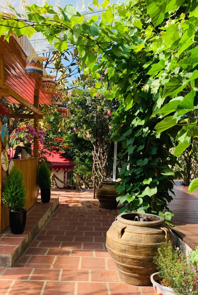 HOÀNG GIA TRANG, THE RUSTIC GARDEN