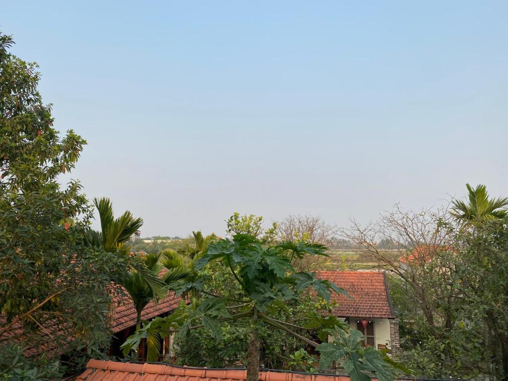 Le Jardin De Tamcoc Homestay