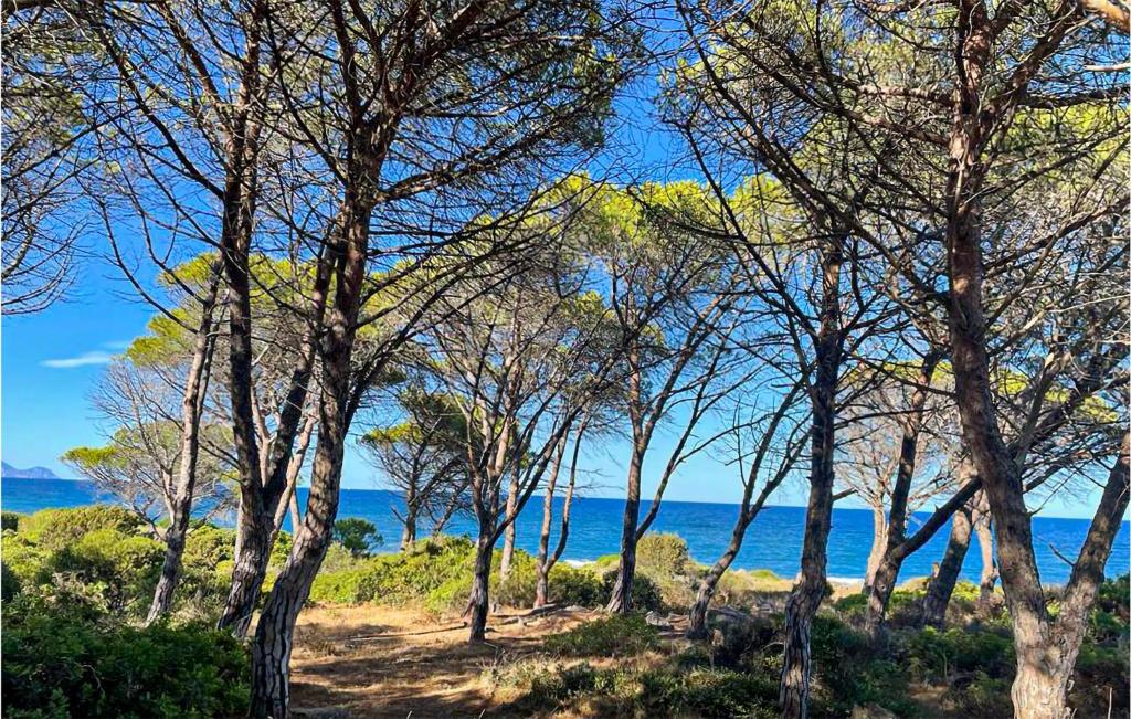 Stunning Home In Baia S, Anna Budoni With Wifi And 1 Bedrooms photo 1