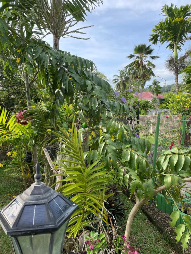 Orchid Sunset Guest House photo 4