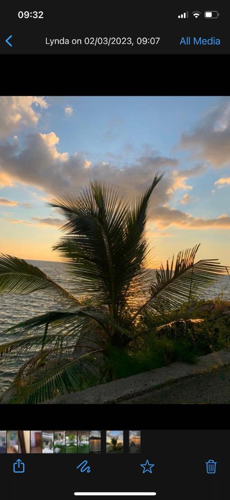 Orchid Sunset Guest House photo 2