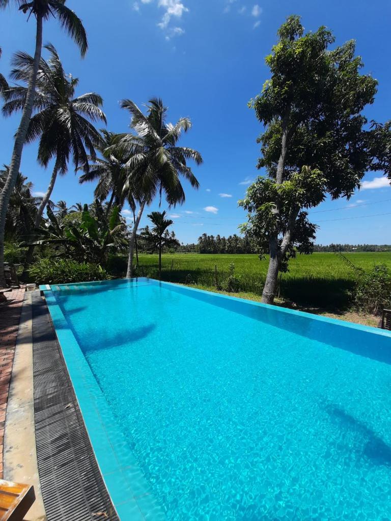 Rice Rice Villas photo 3