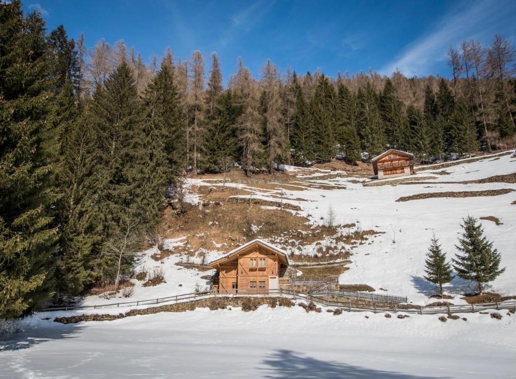 Chalet Bambi photo 4