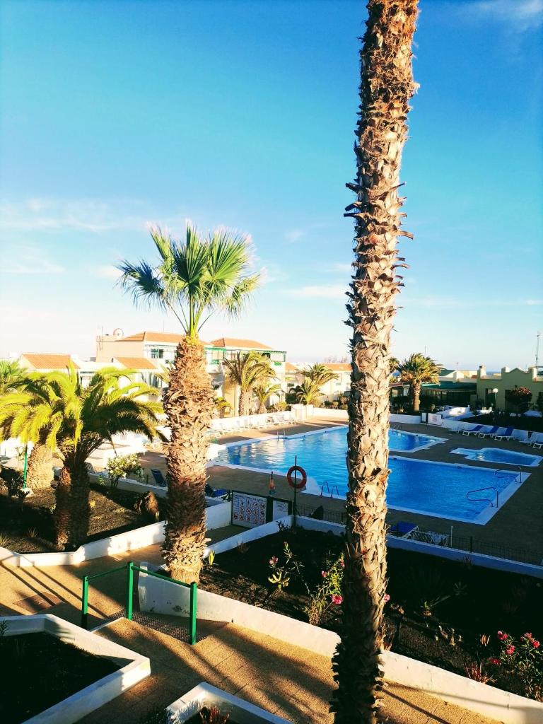 Casa Anita photo 3