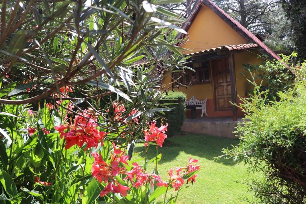 Cabañas Lupita Room Type - One-Bedroom House