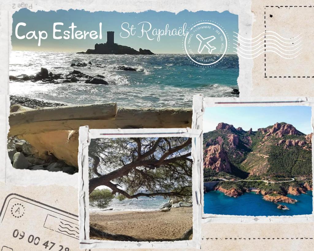 Cap Esterel studio H3 photo 1