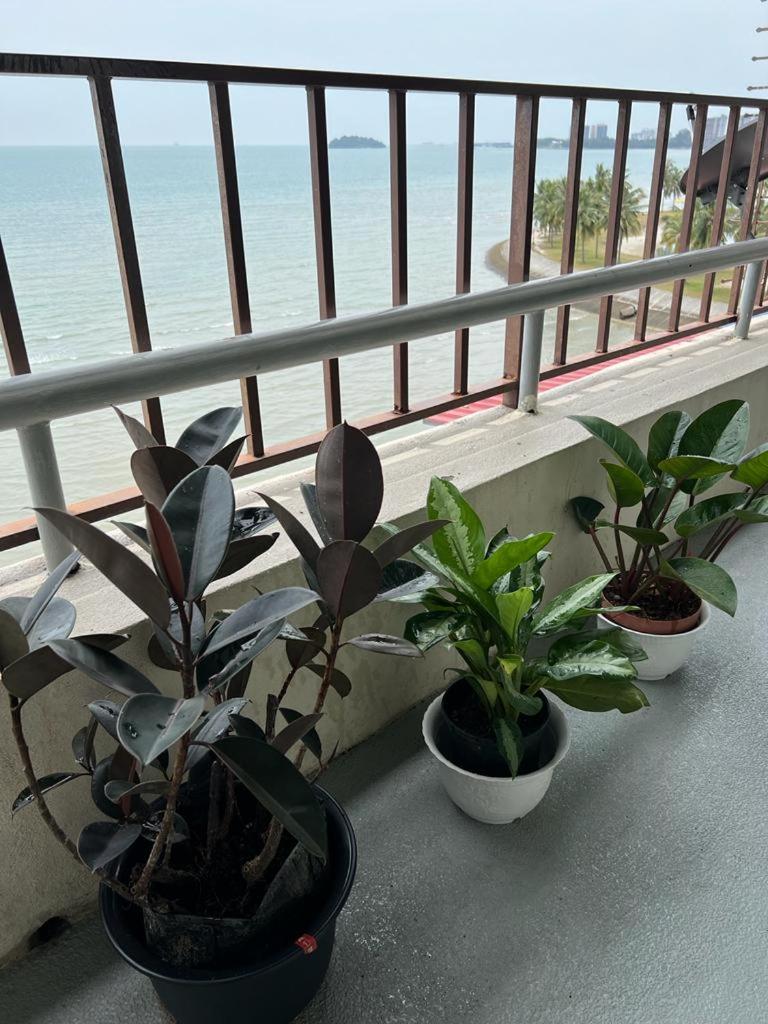 PD SEAVIEW VIP Staycation w WiFi photo 4