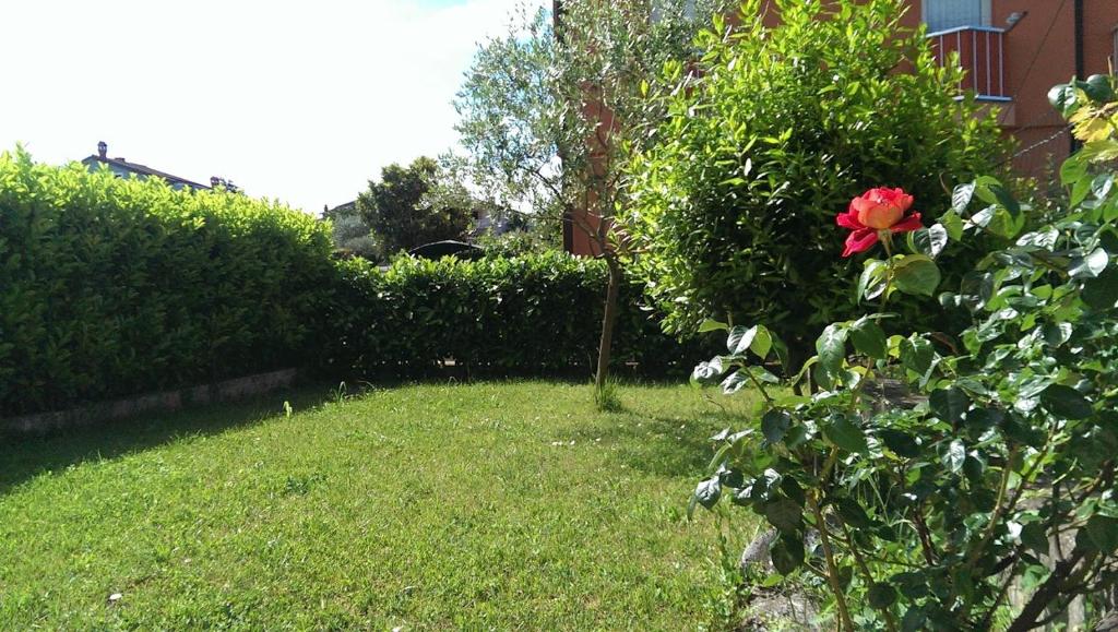 Apartments Marija photo 3