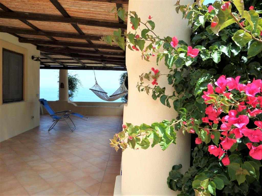 Villa Mimosa photo 3