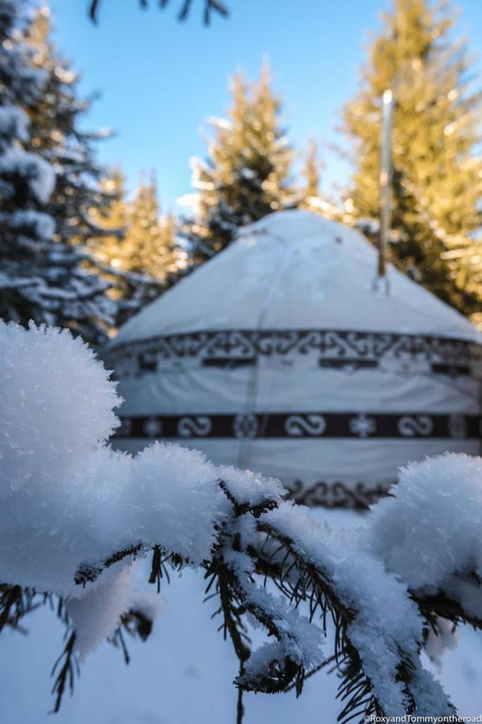 Yurty Mc yurt photo 1