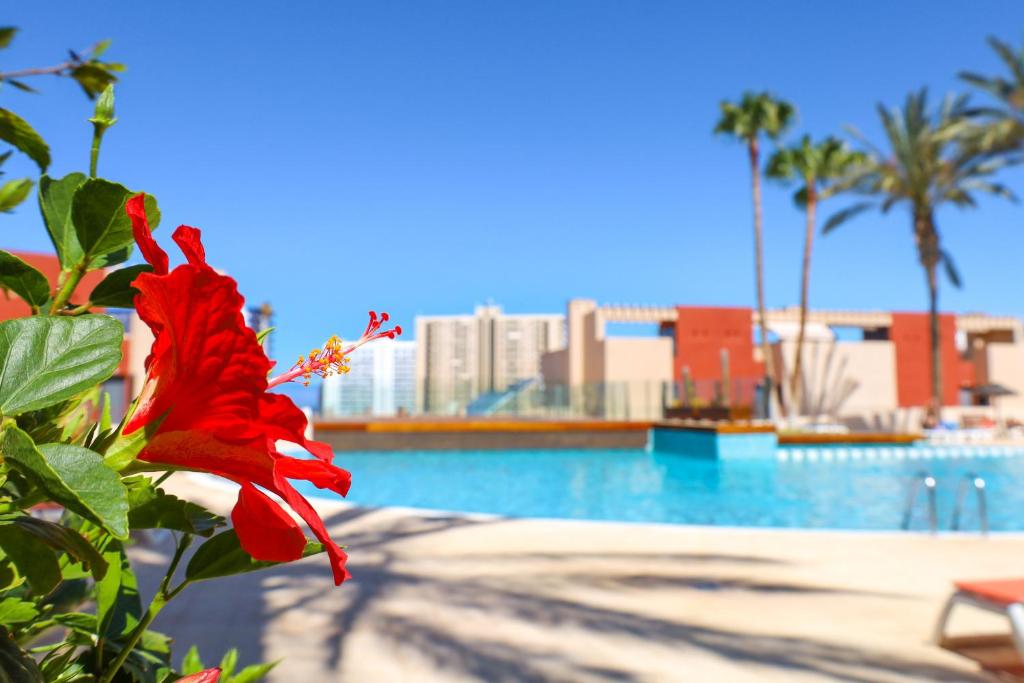 Chill in paradise photo 1