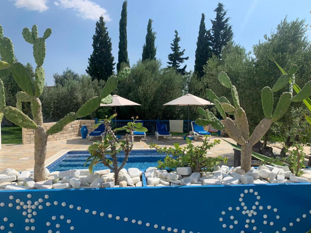 Villa des Oliviers Hammamet B&B photo 2