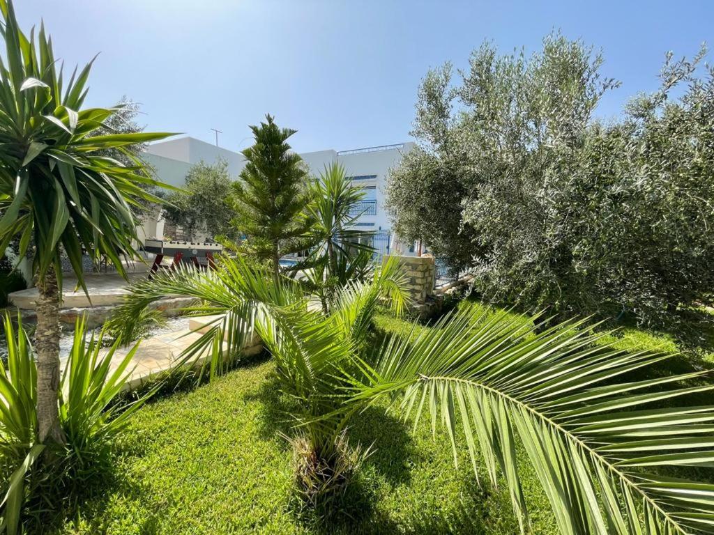 Villa des Oliviers Hammamet B&B photo 4