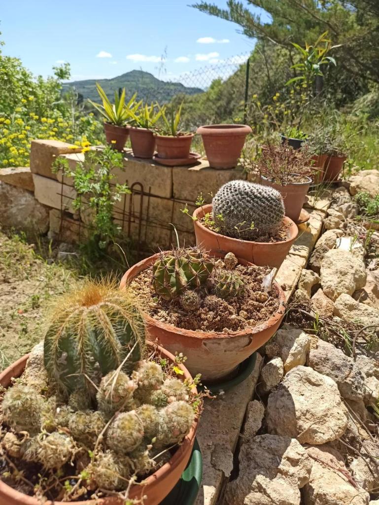 La Casa dei Sogni photo 1