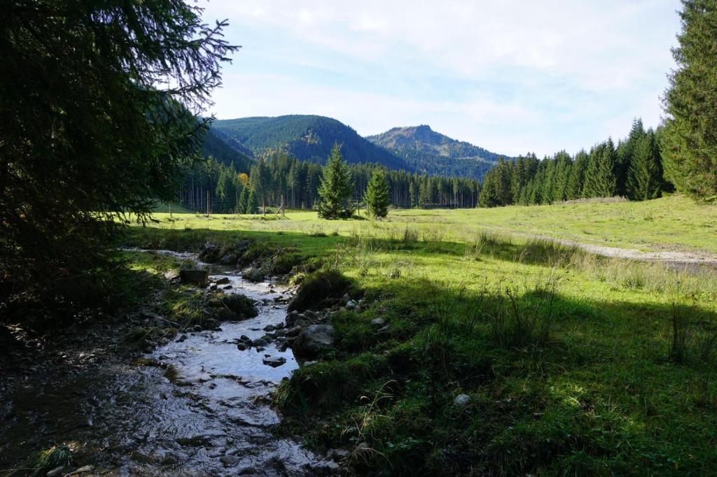 Guffertblick photo 1