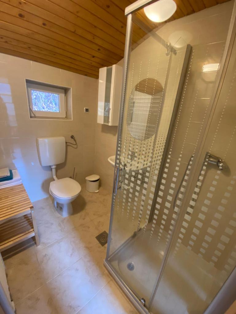 Apartma Regina photo 2
