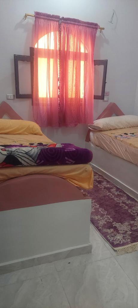 Abo Tamem Guest House photo 4