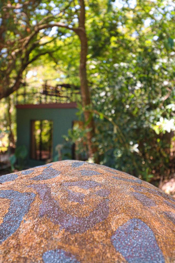 La Casa de la Montaña photo 1