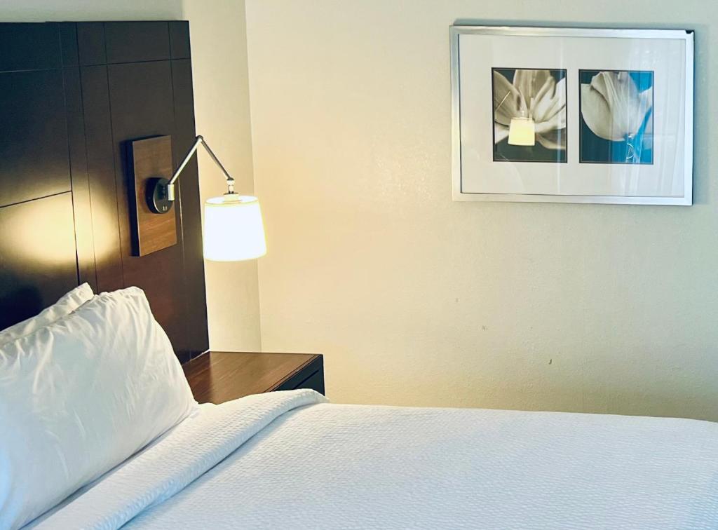 Holiday Inn Virginia Beach - Norfolk, an IHG Hotel photo 1