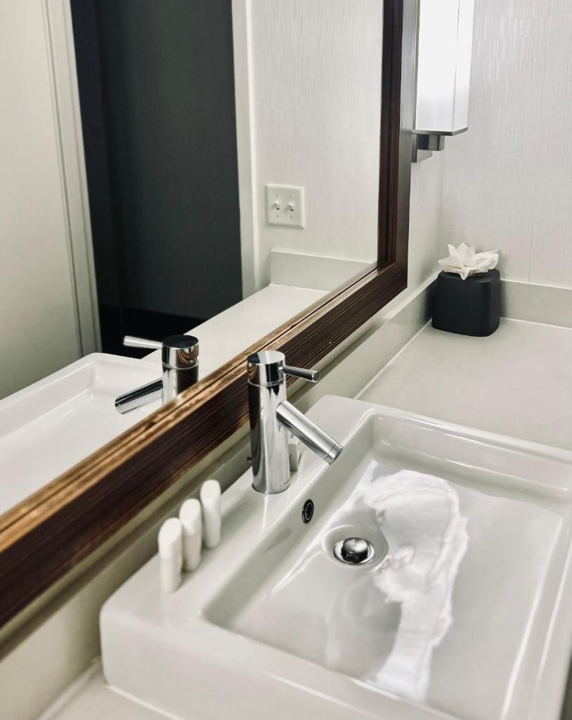 Holiday Inn Virginia Beach - Norfolk, an IHG Hotel photo 3