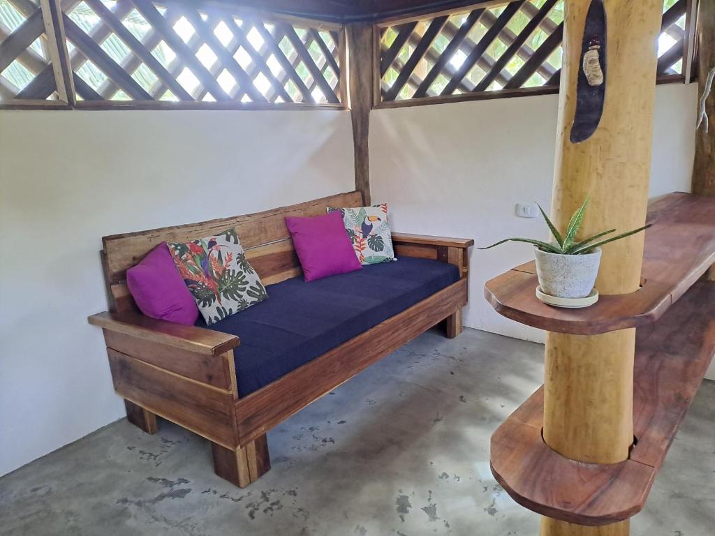 Terra NaturaMa - off grid living in the jungle photo 4
