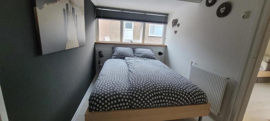 Vakantiewoning Zonnige Blik photo 4