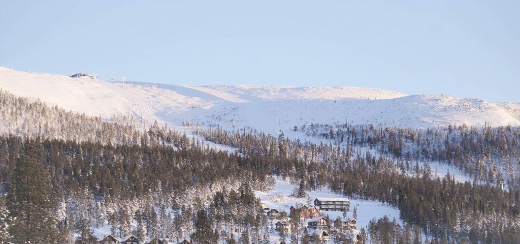 Björnrike Vemdalen utsikt över Sonfjället photo 3