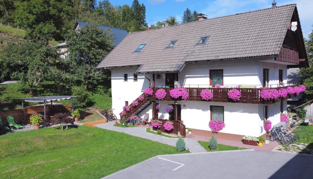 Apartments Lake Bohinj Medja photo 1