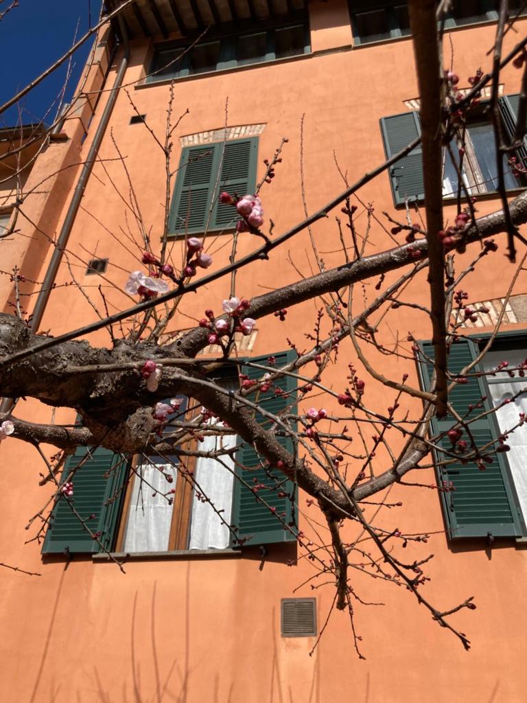 Tuscany Location photo 2