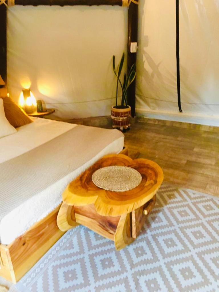 Tribu EcoHostal photo 3