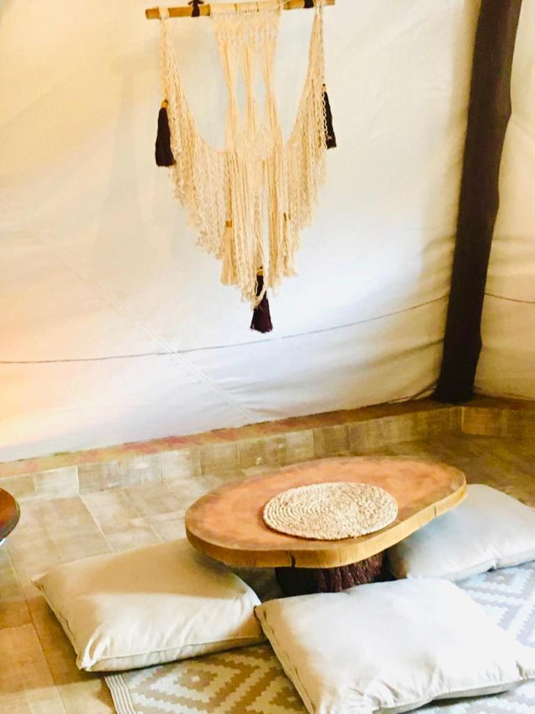 Tribu EcoHostal photo 4