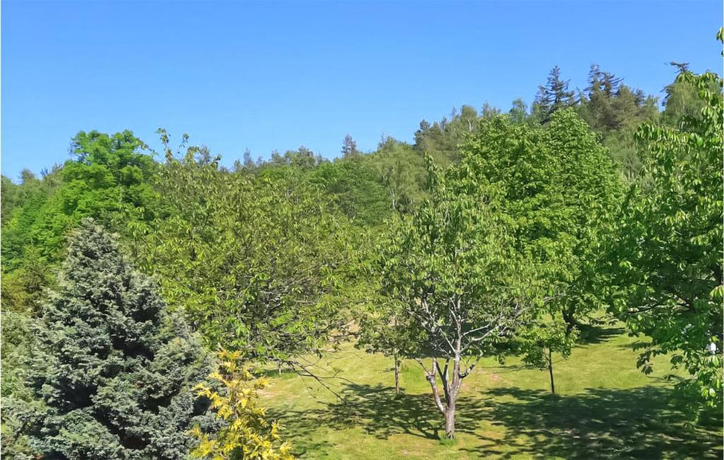 Awesome Apartment In Smoldzino With Wifi And 1 Bedrooms photo 4
