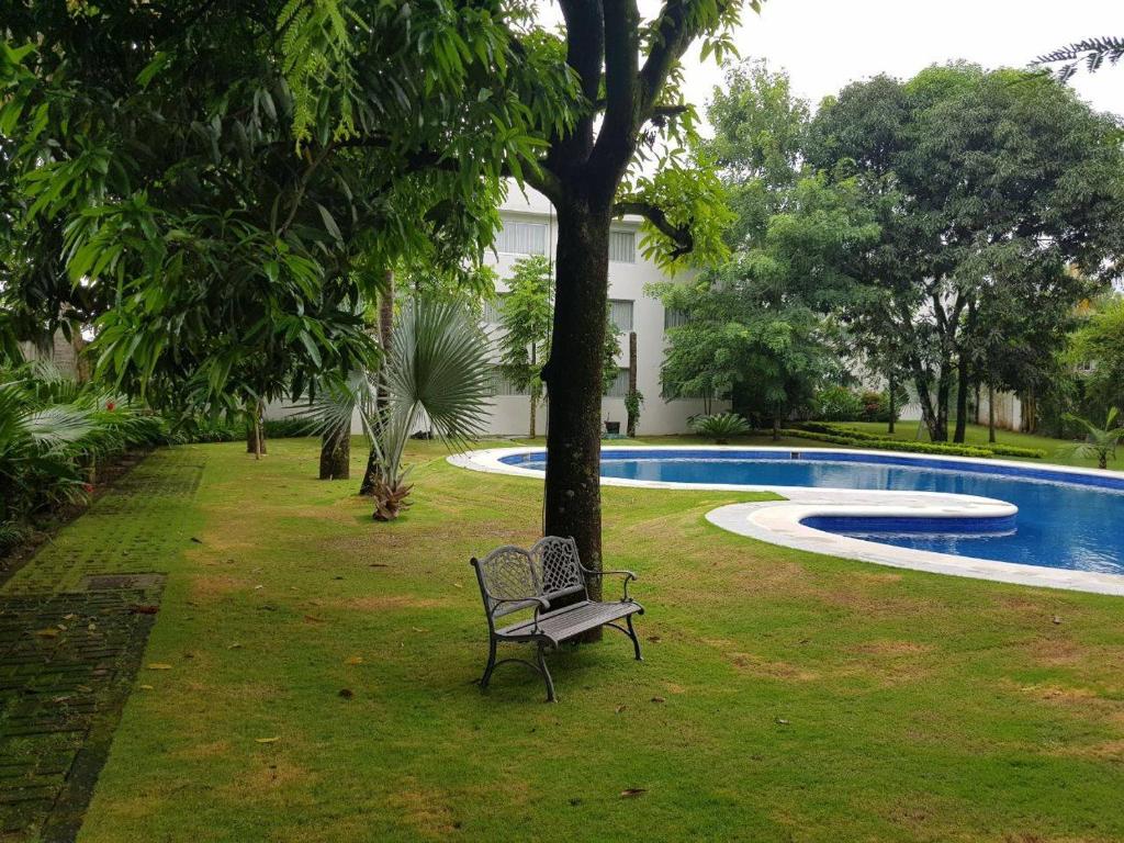 Hotel Verdi photo 4