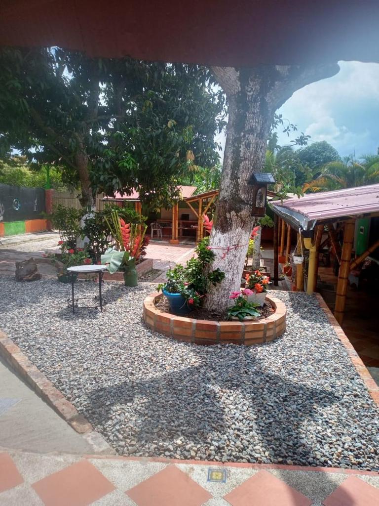 Casa guadua piscina privada photo 2