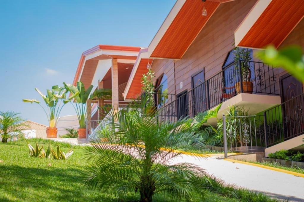 Hotel Boutique Meraki photo 4