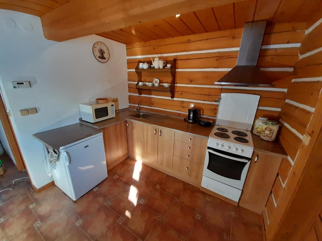 Roubenka Aneta photo 2