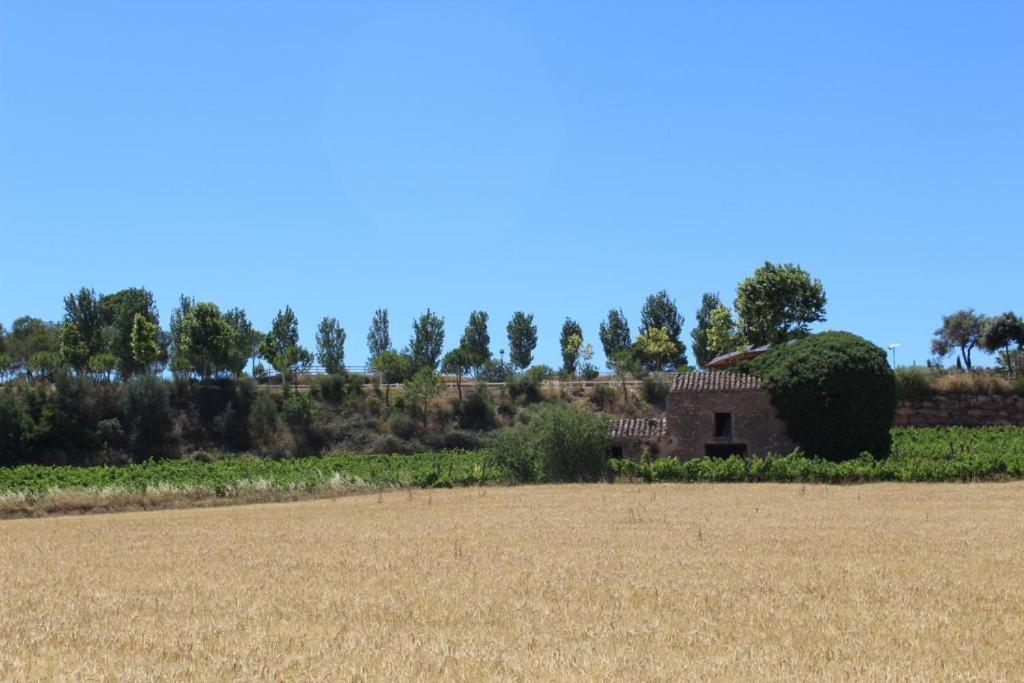 Rocaplana Club de Campo photo 3