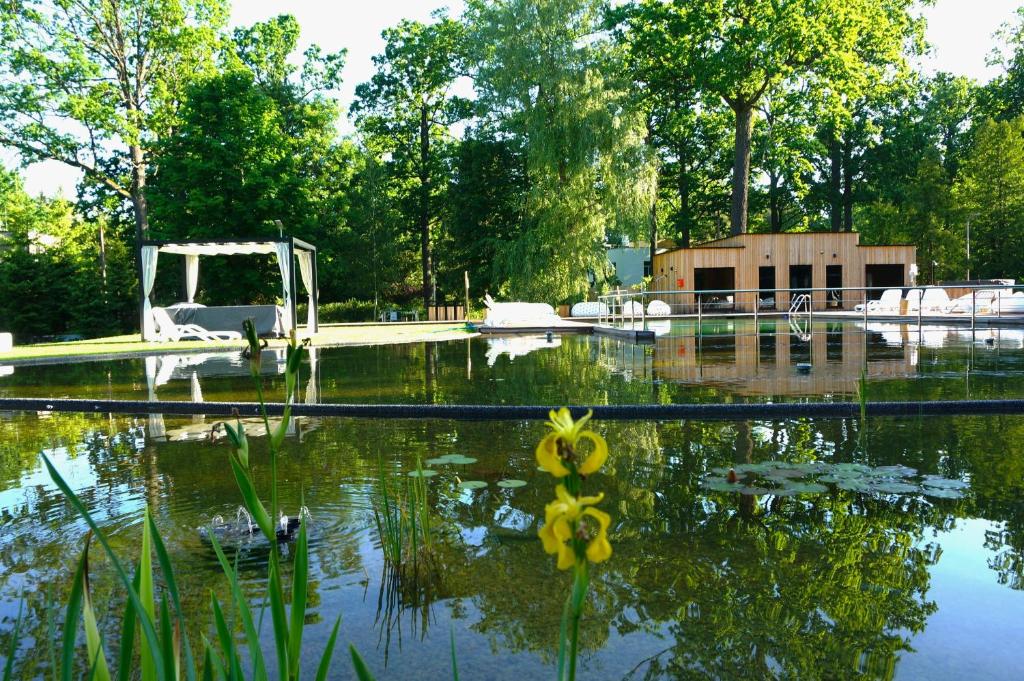 Enklawa Białowieska Forest & Spa photo 3