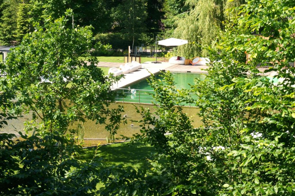 Enklawa Białowieska Forest & Spa photo 2